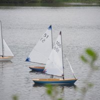 Racing model Seabirds at Cholmondeley Castle