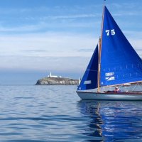 Curlew on her way to Holyhead